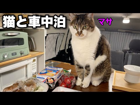 家よりも暖かくて快適な車の中で猫と雨の車中泊｜居酒屋マサで焼き鳥を作って猫と晩酌