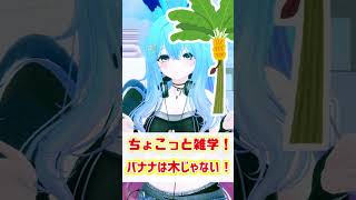 【ちょこっと雑学！】05.バナナは木じゃない！　#shorts #バーチャル警備員ムーさん #VRChat #vtuber