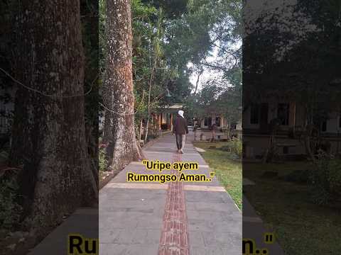 Aku cinta Diriku.#sengpentingyakin .#tetapsemangat .#tetapbersyukur .#bbs.#shortsvideo .