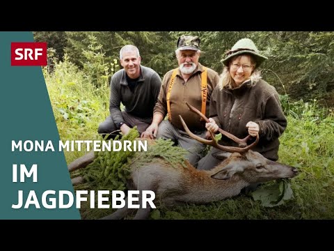 Die Bündner Hochjagd – Auf der Pirsch mit Jäger und Jägerin | Mona mittendrin 2022 | SRF Dok