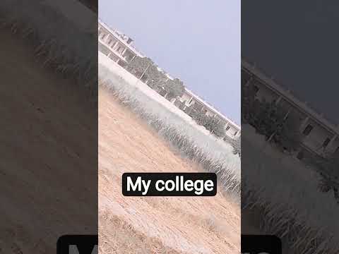 my college