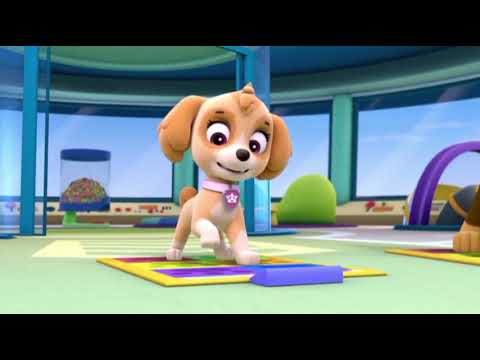 Paw Patrol Skye Teaches Chase How To Do The Pup Pup Boogie Dance