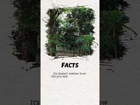 True And Correct #short