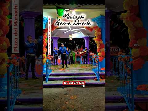 #mariachi #mexico #music #shortsmusic #musicaregional #mariachis #mariachienvivo #tradiciones