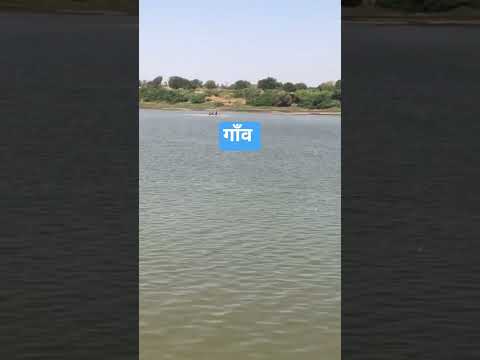 गाँव #shortsfeed #vlog #shortsviral #travel #beautiful #birdtrend