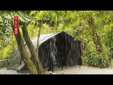 비 내리는 신비한 숲속에서 우중캠핑☔ ㆍ캠핑브이로그 ㆍ캠핑asmr