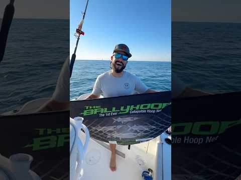 BEST way to catch LIVE BAIT! #shorts