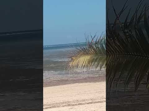 Mombasa beach #beach #mbenzibeach#trading