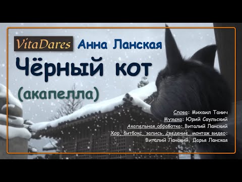 Черный кот / The Black Cat (a capella cover by VitaDares)