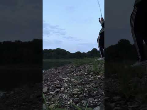 I stole his fish! video thumbnail