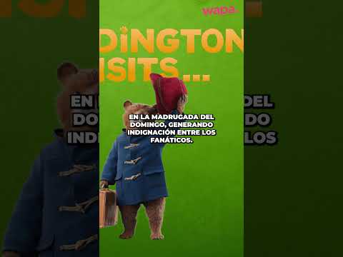 😭 el famoso osito ha sido noticia por un hecho inesperado