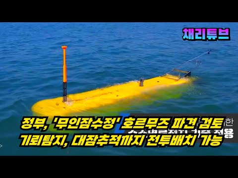 한국 "무인잠수정" 호르무즈 파견 검토, 단독 보도