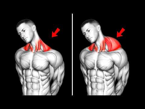 6 Trap-Building Secrets That Finally Gave Me a Powerful Upper Body