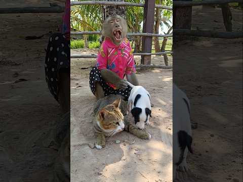 Perfect video SokYaa,OG, To To And Mom Are Famous & Amazing #shorts