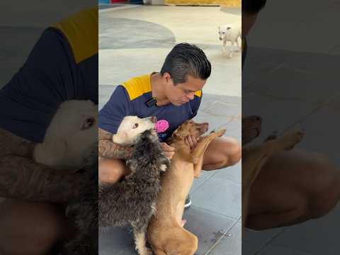 Disculpen pero los veo como a hijos aunque esté ciego.