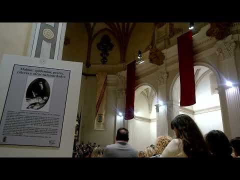 ECOS DE LA PASION. REQUENA 2026 (solo audio)