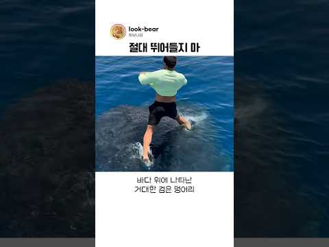 바다 위에 떠 있는 <strong>검은</strong> 덩어리의 정체