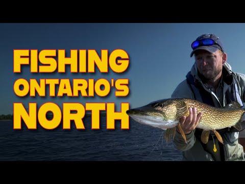 Northern Ontario Perfection! Brace Lake Outfitters.