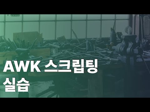 awk 스크립팅 실습