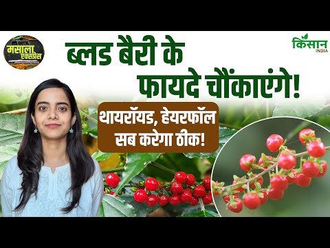 Bloodberry के फायदे चौंका देंगे, Thyroid-Hairfall का नेचुरल इलाज । Kisan India