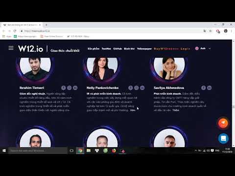 W12 ICO Review