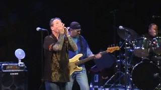 The Nighthawks - Born in Chicago - The Barns at Wolf Trap