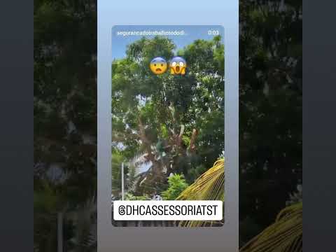 olha isso 😱🫣 #memes #tst #humor #shortsfeed #automobile #noticias #comedia