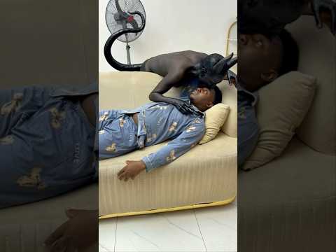 Jesus is powerful…                                     full movie comment section