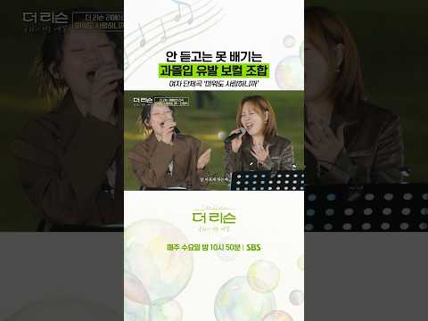 과몰입 주의⚠️ 한 번 들으면 빠져나올 수 없는 조합