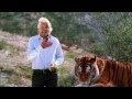 WildAid PSA - Richard Branson - Tigers