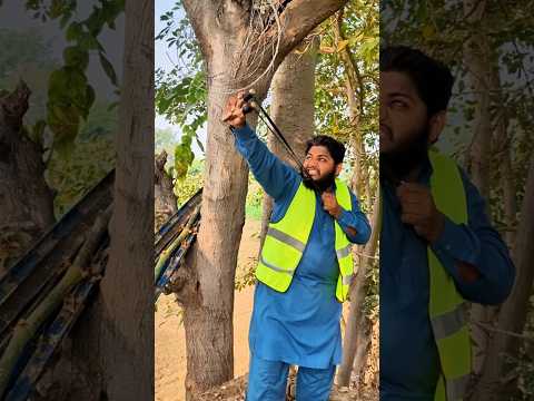 garib Bache NY birds ko bacha Lia #shortsviral #shorts #ytshorts