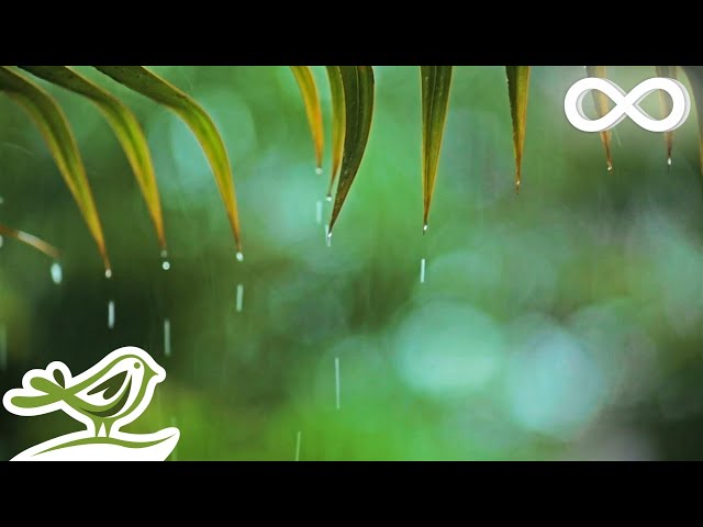 The Best Instrumental Rain Music to Help You Relax
