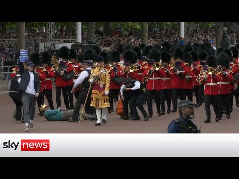 Protesters carried away by police at the start of Trooping the Colour