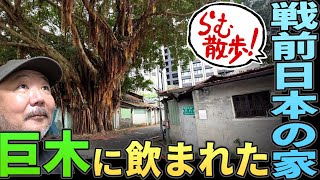 【らむ散歩】巨木に飲まれた日本統治時代の家【台湾・廃墟】