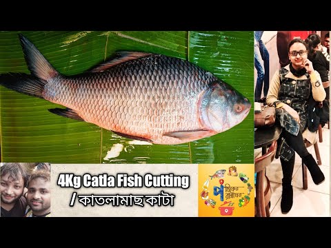 Catla Fish Cutting | Katla Mach kata | Mach Katar Video | Fish Cutting 2021 | Fish cutting Skills