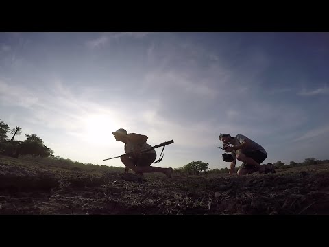 FPV - buffalo - UC_ln1TA-w4bahRI7yN0TcJA
