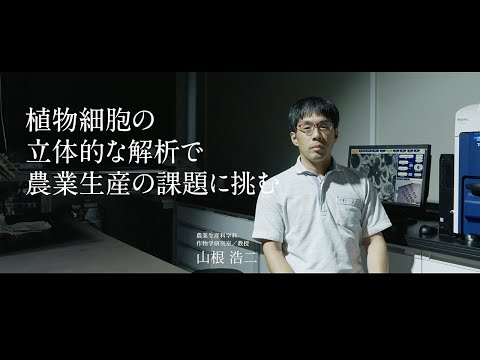 【近畿大学農学部】細胞小器官を立体で観察し、イネの特異性を解明する。農業生産科学科　教授　山根 浩二 | 農LABO