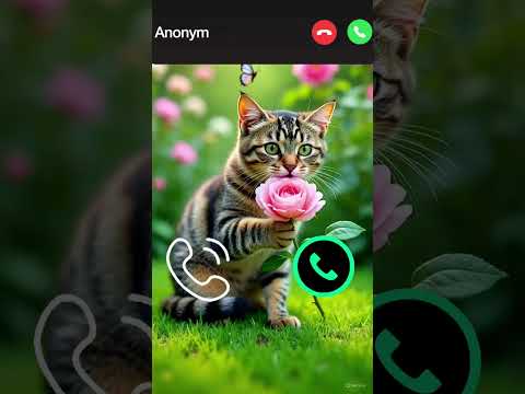 Cat Ringtone #ringtone #cat #gato #babygirl #youtubeshorts #catlovers #viralvideo #mi #shorts