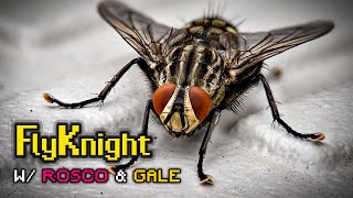 【Flyknight】Sorry to bug you! w/ Gale