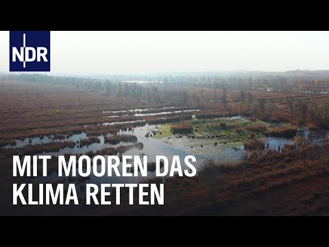 Moore: Problem und Hoffnungsträger fürs Klima | Die Nordreportage | NDR Doku