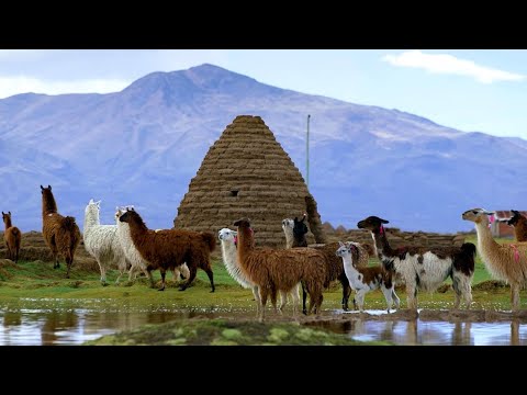 How the Chipaya Thrive in Bolivia’s Harsh Altiplano