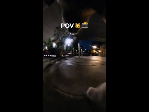 Det er ny villkatt i byen - Nye helelektriske Ford Puma