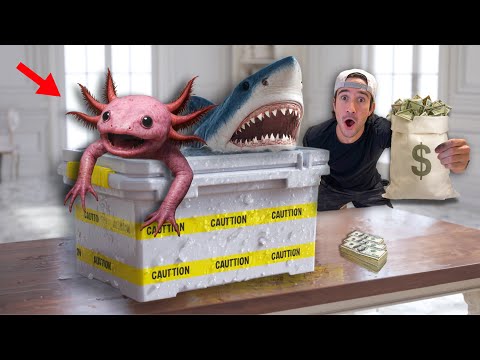 How Many Fish Can I Buy With $500? Click the link to install Coupert and never overpay online again!: https_//www.coupert.com/join-coup