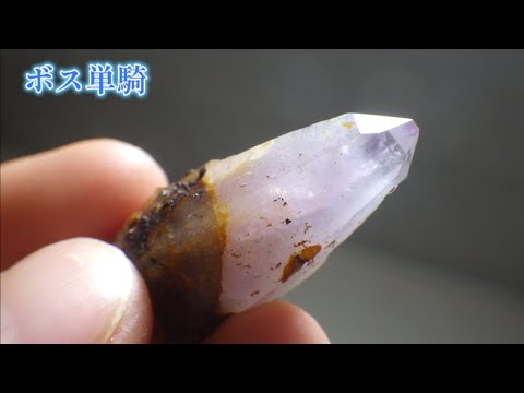 サイズ感ある紫水晶が1本だけ採れたガマ