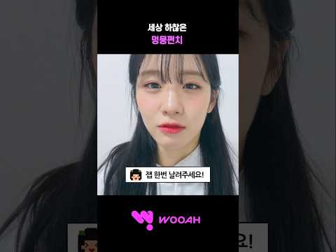 [우아! 우연] 세상 하찮은 멍뭉펀치