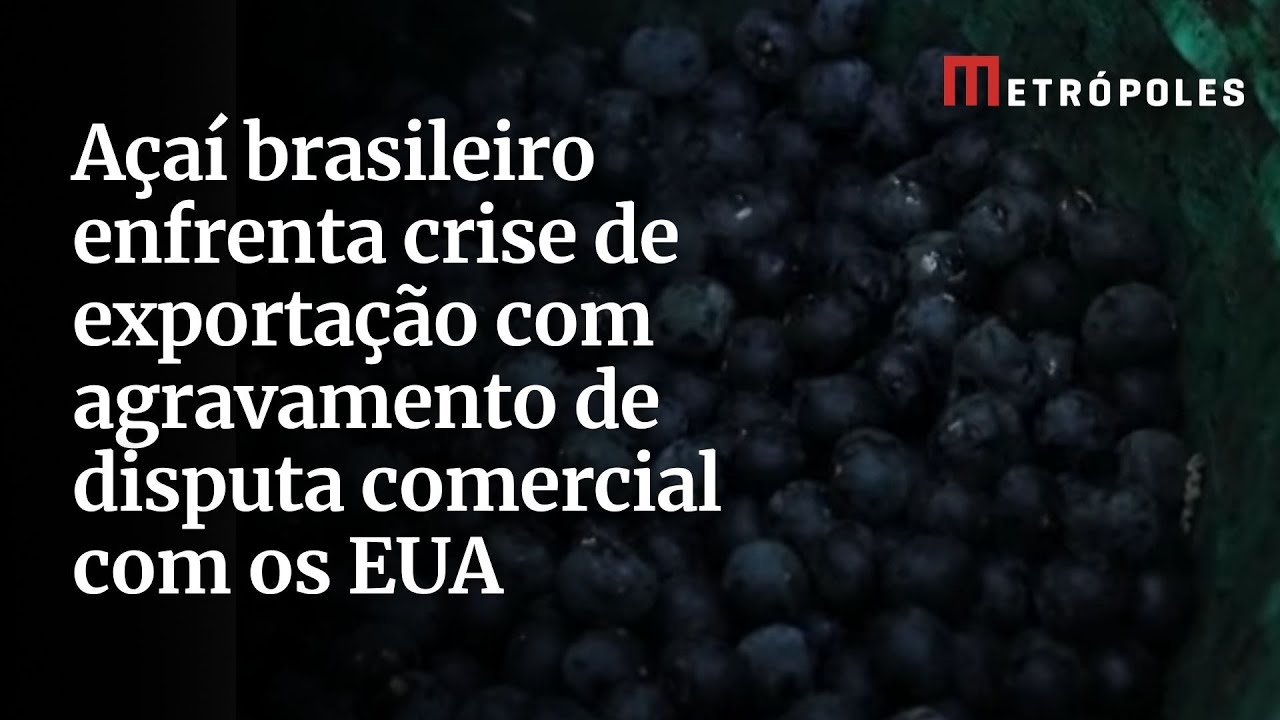 Açaí brasileiro enfrenta crise de exportação com agravamento de disputa comercial com os EUA