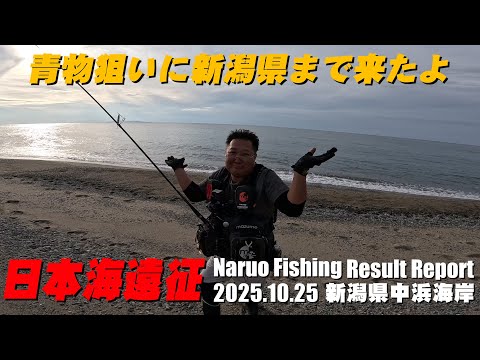 日本海遠征！新潟のサーフで青物狙いの筈がまさかの・・・・