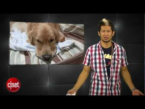 Apple Byte - The iPad "Mini Me" coming soon... - UCOmcA3f_RrH6b9NmcNa4tdg