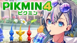 【ピクミン4】おっちんを救いたい【雨乃こさめ/シクフォニ】