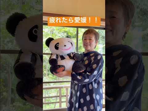 【腹話術】豆乳の日 #今日は何の日 #腹話術師 #パンダ